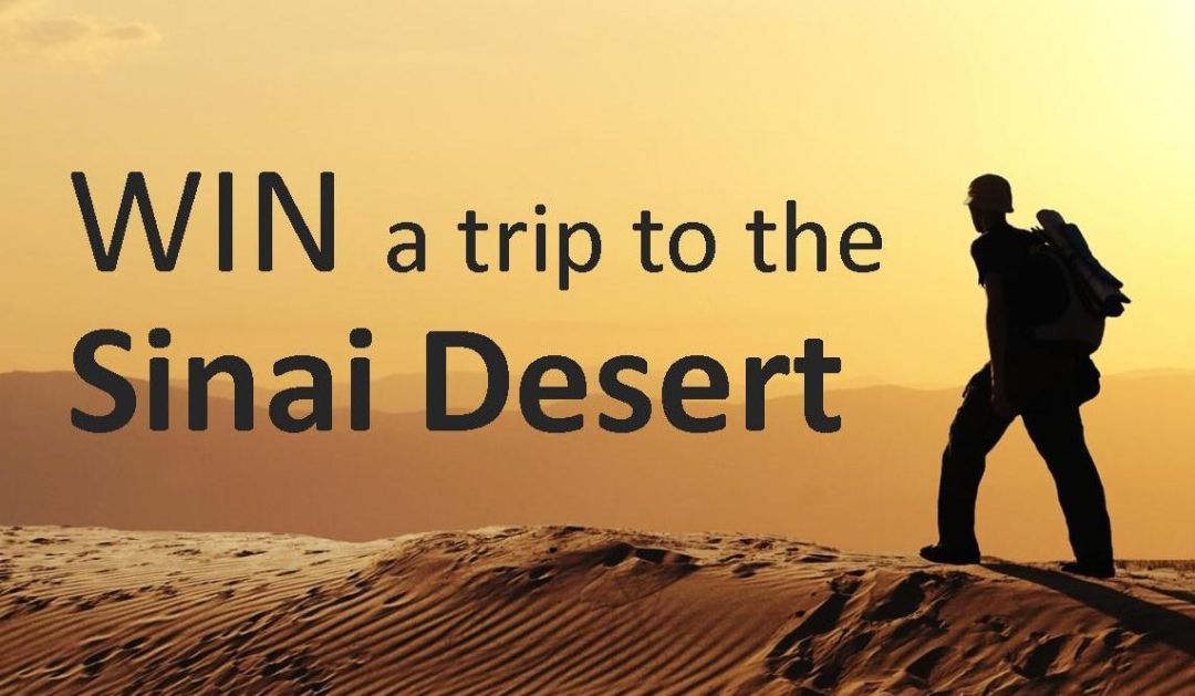 win a trip to the Sinai3