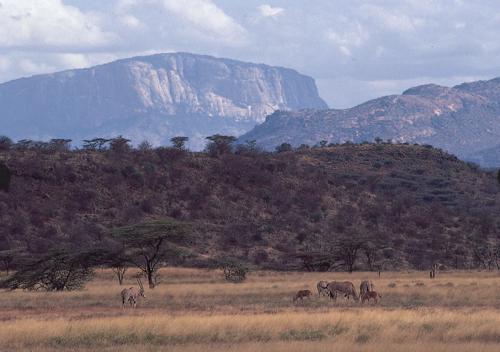 The Great Rift Valley