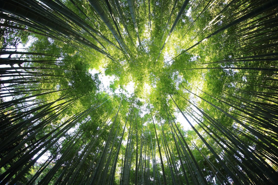 Kazuend 30877 Unsplash